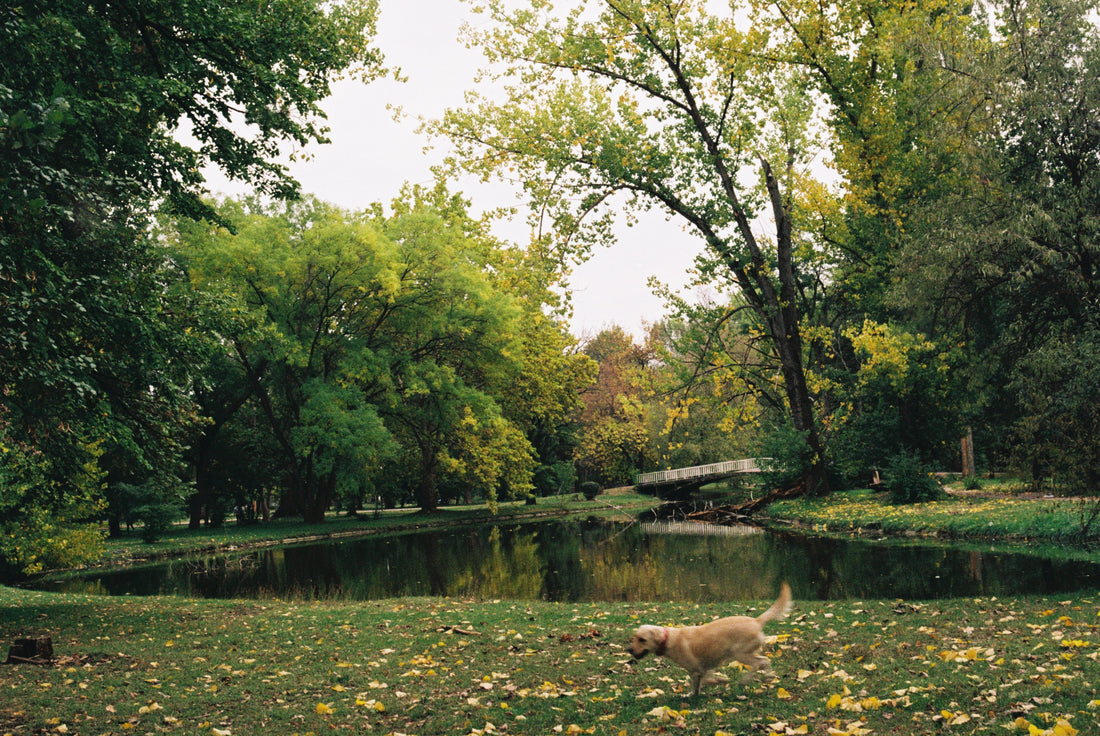 Рецензија на книга